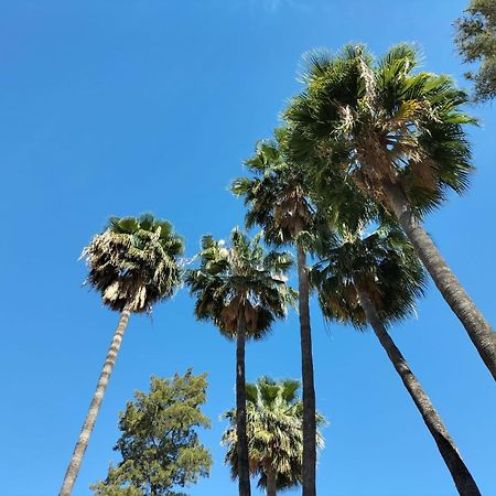 Vas Malaga Ciudad Hotel ภายนอก รูปภาพ